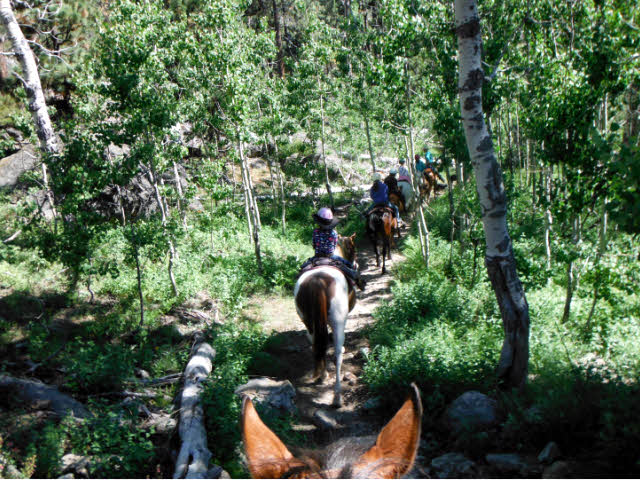Line of horseback riders