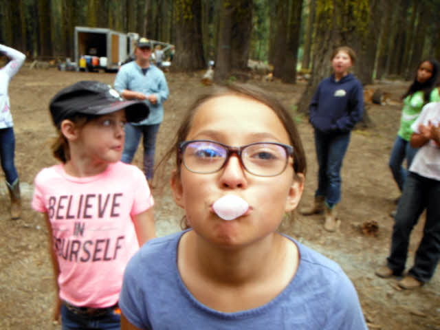 Bubble Gum blowing contest