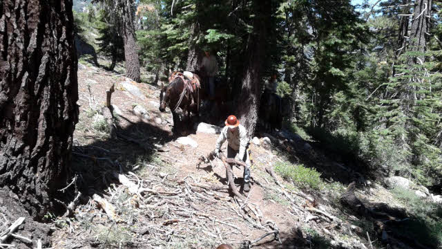 Man clearing trail