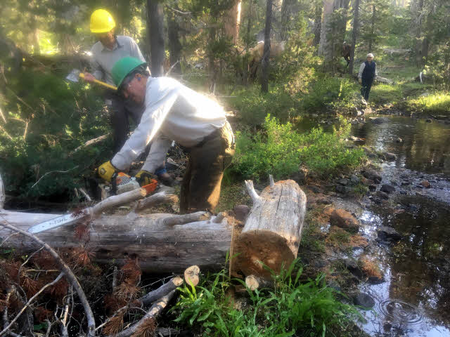 Two men clearing logs