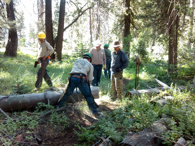 5 men working to clear trail