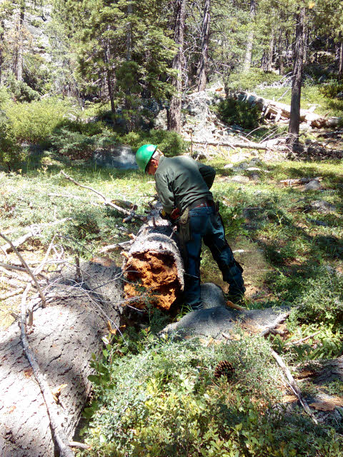 Man cutting log with chainsaw