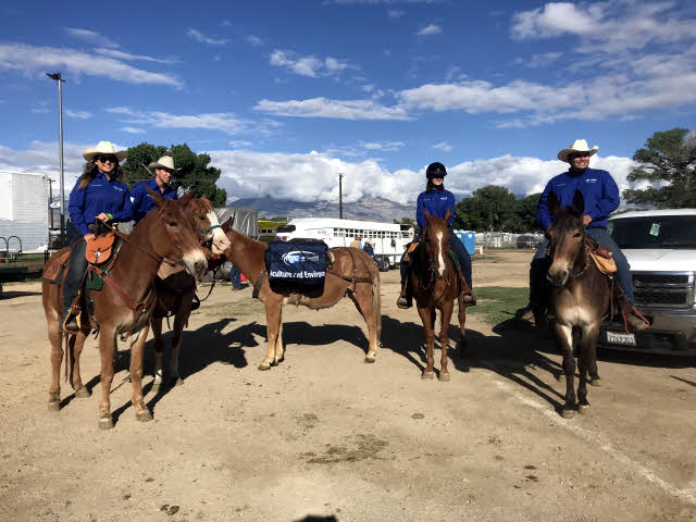 Mule riders in MJC Uniforms