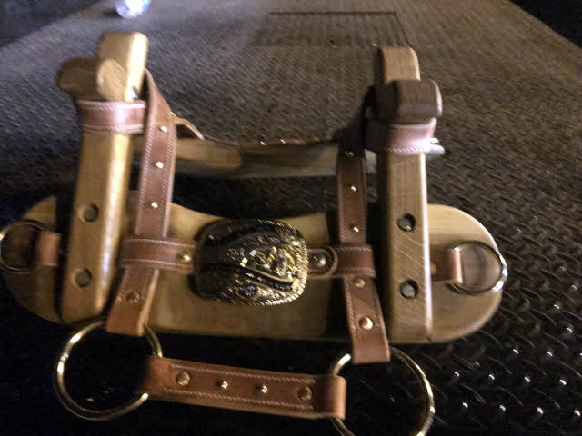 Pack saddle with trophy buckle