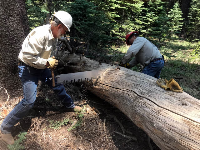 Two guys cutting a log with a cross-cut saw