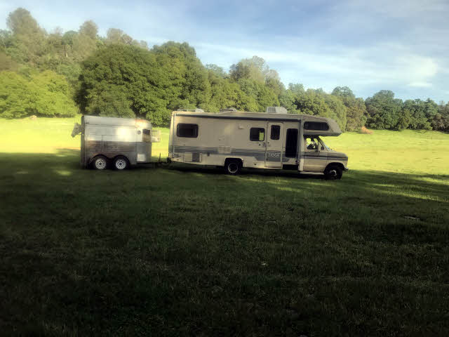 Horse, horse trailer, RV