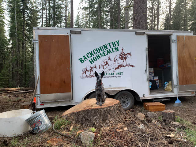 Dog guarding a trailer