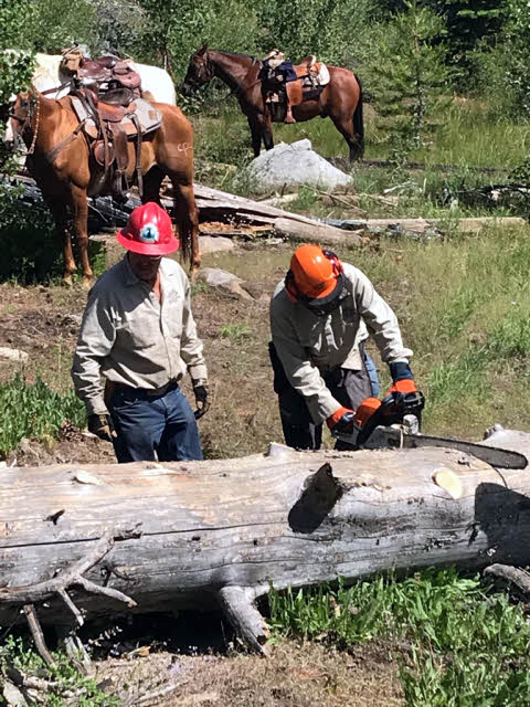 Two men and a chain saw