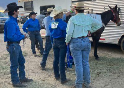 Bishop Mule Days 2025