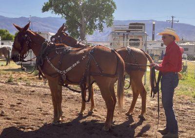 Bishop Mule Days 2025