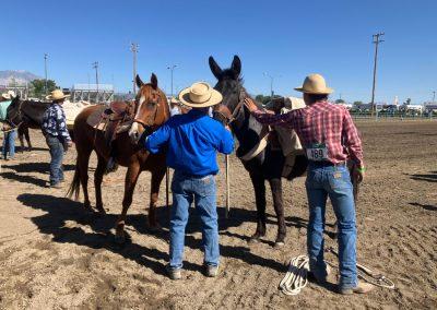 Bishop Mule Days 2025