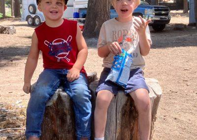 Two young boys sitting on a tree stump at Kennedy Meadows